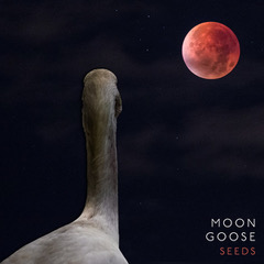Moon Goose